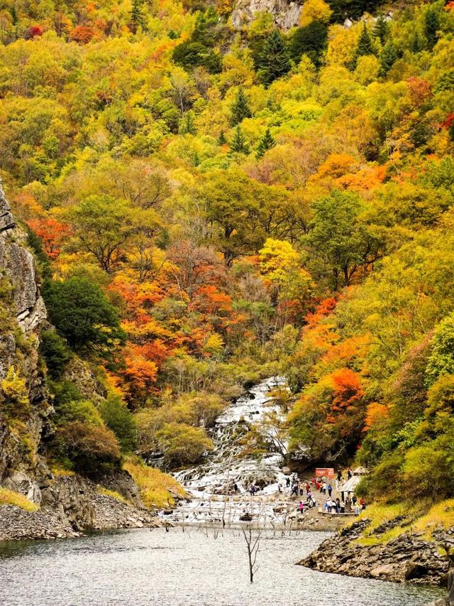 松坪沟彩林已“封神”！泡暖泉、赏非遗打铁花，这波三重盛宴错过等一年！