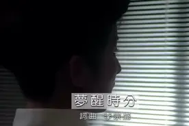 【怀旧经典】陈淑桦-梦醒时分(无损发烧音质) 中文字幕 Hi-Res图片