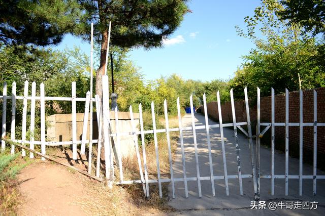 延庆应梦寺（五）：山巅极目收千嶂，林海听风涤尘心