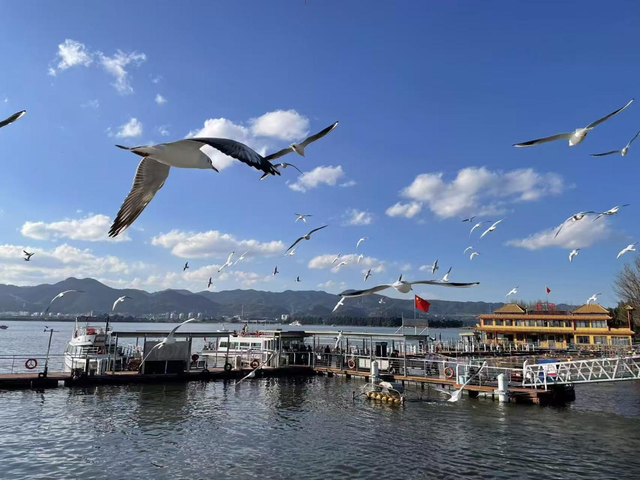 游历雅记：春之城 花之都 初冬游昆明