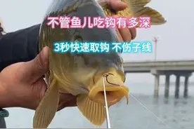 钓鱼想要快速的取钩？答案很简单，只需要带上这款取钩器，3秒就图片