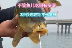 钓鱼想要快速的取钩？答案很简单，只需要带上这款取钩器，3秒就图片
