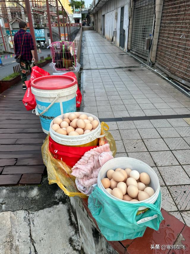 无暑之地（4）临沧 普洱