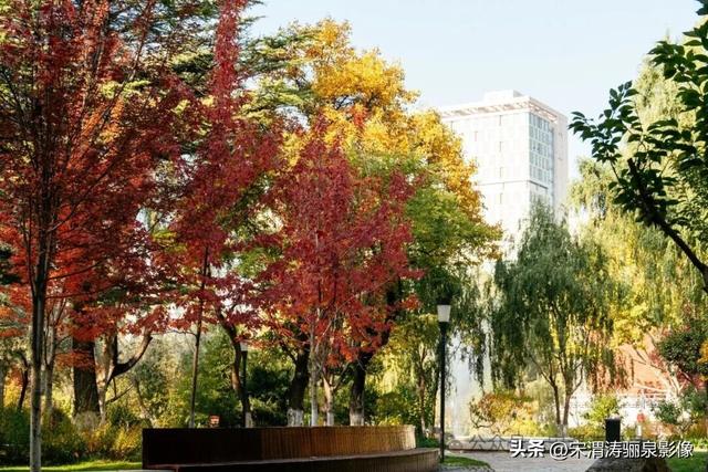 甘肃兰州：兰州两日游之兰州大学壮观大气 秋色盎然 美丽醉人
