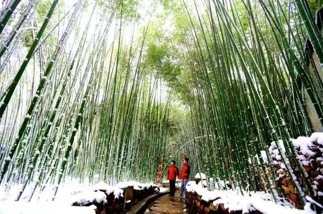 大雪至沂蒙，山水待君游