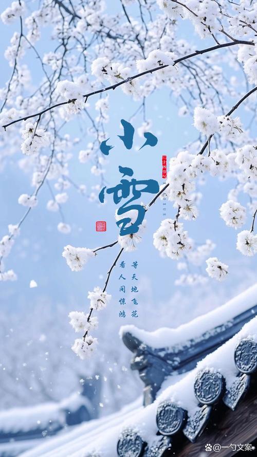 明日小雪！老话“小雪不下雪，大雪满天飞”，冷冬暖冬？答案来了