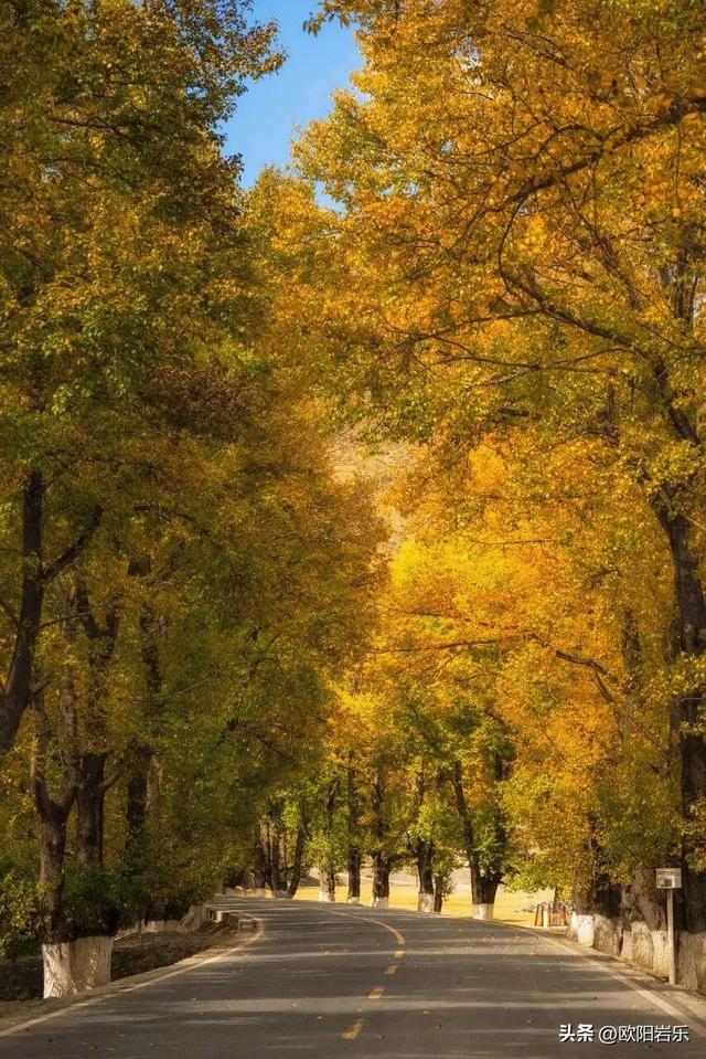 是什么让资深驴友每年秋天都偷偷跑去川西？？