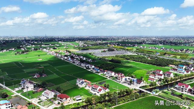 故乡美艳令人醉