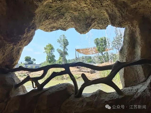 新展区！新物种！新票价！南京市红山森林动物园10月18日上新