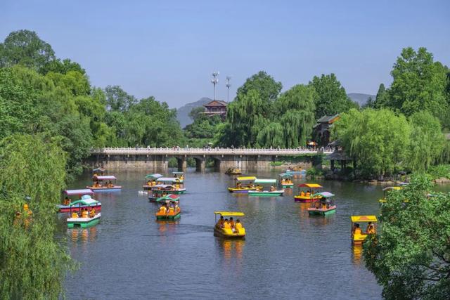 免票畅玩！百合花海+星空露营，济南这个4A景区限定福利来袭~