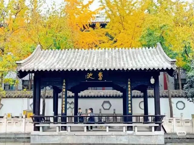 秋日临沂放大招！0元解锁N个免费景点，这份“白玩”攻略速存