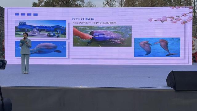 秋日好风景，荆州邀您来“打野”