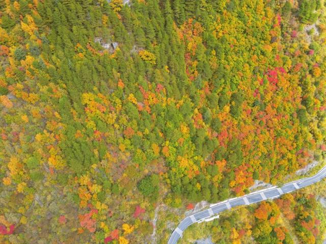 闯入秋日油画！松坪沟彩林巅峰绽放，泡私汤温泉，看千年非遗打铁花！