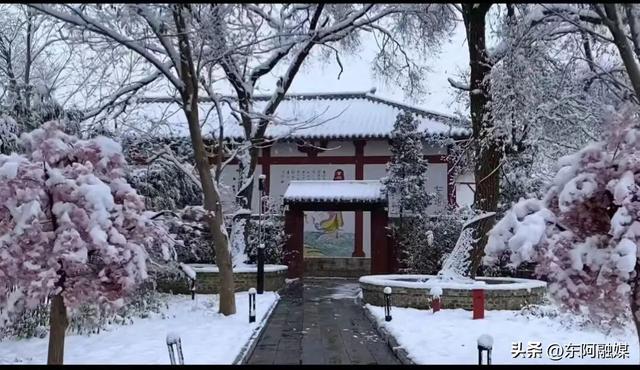 冰瀑诗光映鱼山 元会霓裳贺福年｜鱼山曹植风景区邀你跨年启新，福满2026！