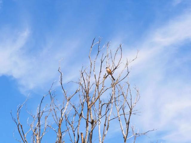 是谁？！打翻了“新区公园”的调色盘