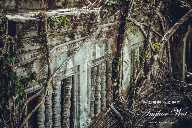 柬埔寨免签冲这处！崩密列的丛林废墟，比吴哥窟更野更出片
