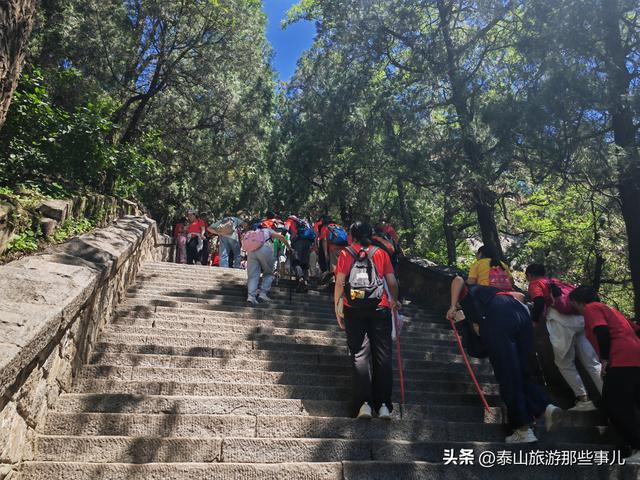 为什么要爬泰山？总结了5个原因，最后一个，只可意会不可言传
