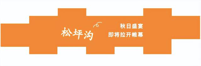 “红”色预警！松坪沟即将全面开启高饱和度模式，美到犯规！