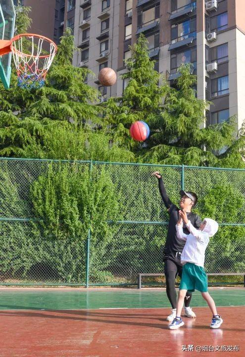 【乐游烟台】邂逅柳林河公园 开启生态宜居的森系时光