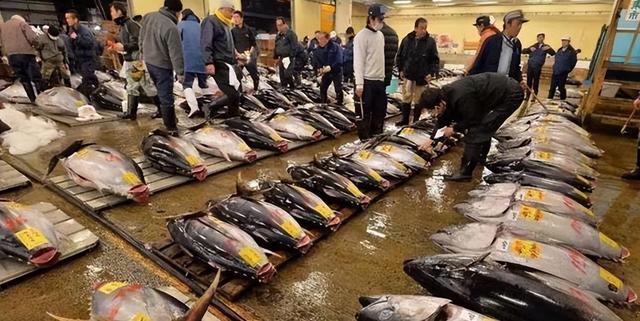 中国通知联合国会员国后，高市早苗急了，给了中国两个选择