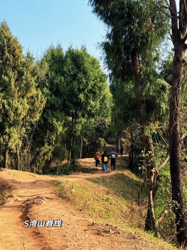 成都周边1h！公交直达的野趣山脊，新手亲子徒步首选！