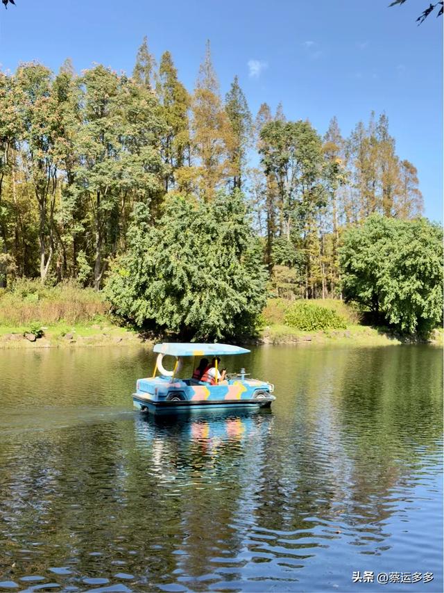 重阳节,上海赏秋之美