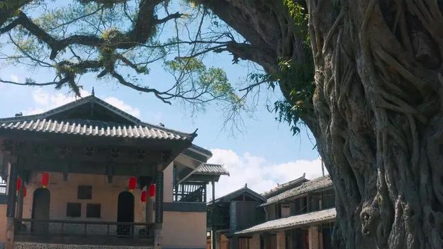 收好始兴这条线路，一天玩转艺术、古村与落羽杉，追一场岭南最绚烂的秋！