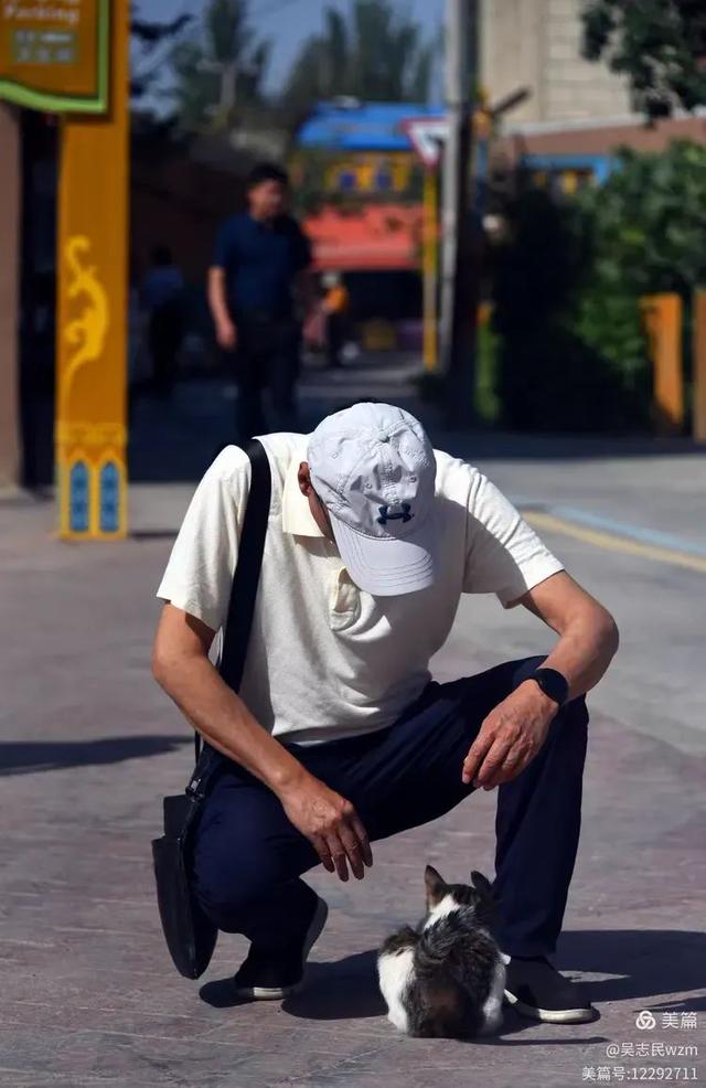 参观中国无花果之乡 想你的风吹到了阿孜汗 北京开国将军后代合唱团