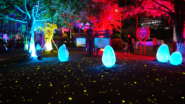 假期快乐不落幕！湛江坡头用光影与海风，为你的年味“续杯”