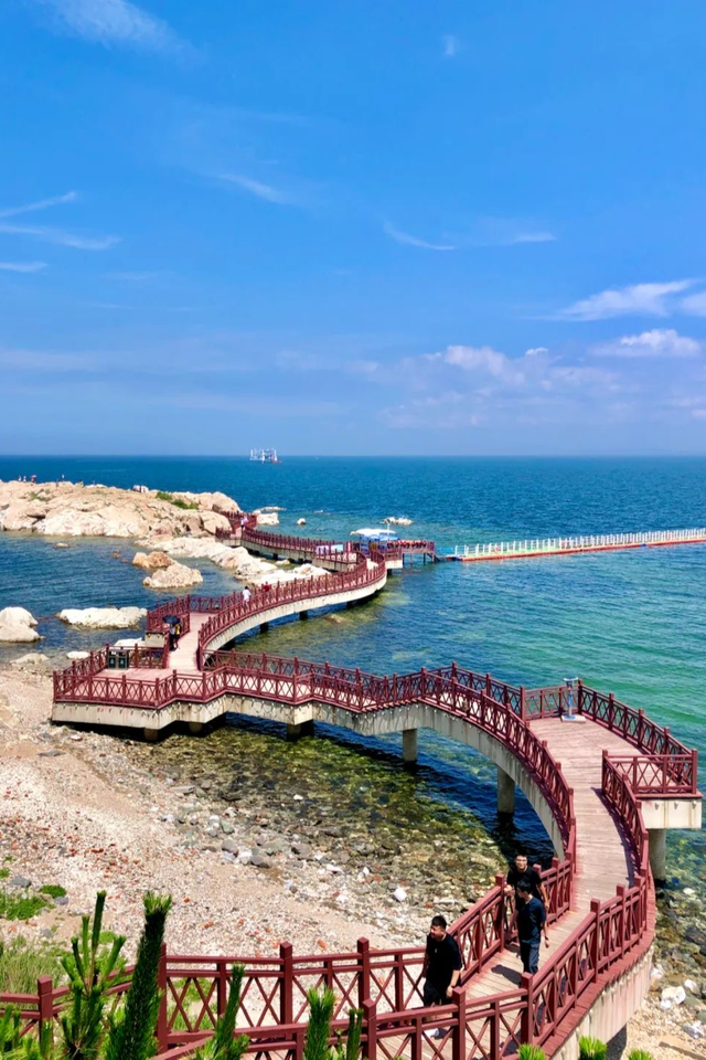 6城上榜！2025康养百强榜出炉，山东凭什么这么能打？