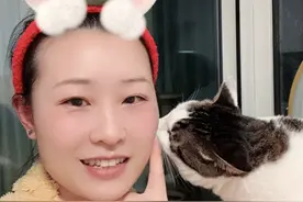 别不信！猫咪最怕闻这几种味道，严重会致死！你可能每天都在做！图片