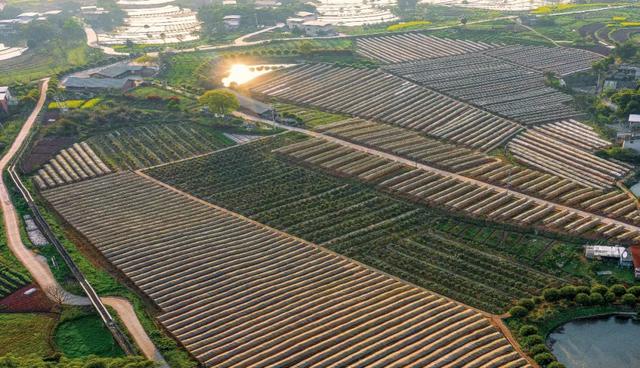 地名里的重庆 | 合川大石街道,巨石为桥,通衢千年