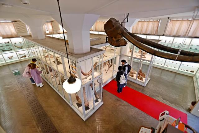 藏品20万+，这座博物馆“看宝”又“出片”！