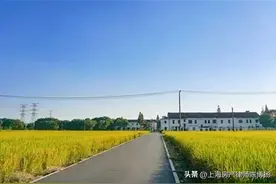 最新！2023上海一大批拆迁村名单公布！图片