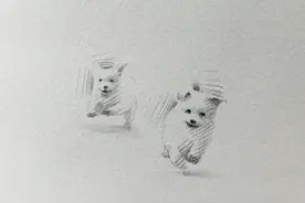 速写｜寥寥几笔，画出超可爱的小动物图片