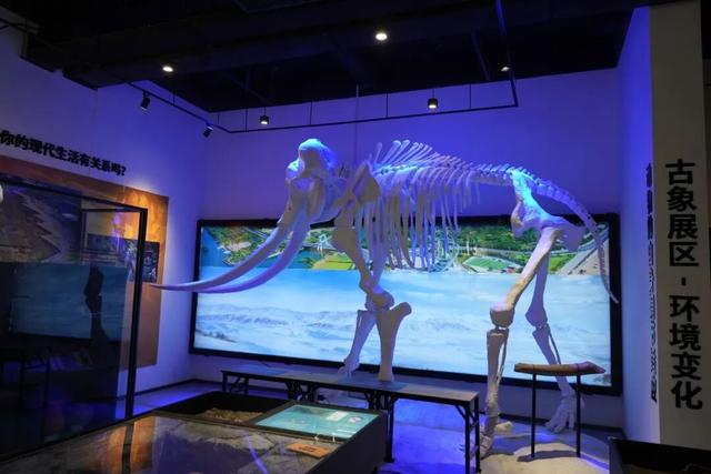 临沂初冬“热”出圈！打卡攻略赶紧码