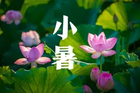 “白天小暑，伏里桑拿；晚上小暑，伏里穿袄”，今年小暑在几点？图片