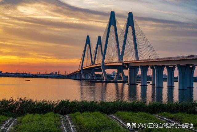 绍兴 11 月赏秋攻略｜6 处绝美秋景地，承包江南的红枫金稻与红柿