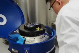 国产CAR-T药物从浦东首次成功“出海”，为上海细胞治疗产业开辟了国际化新道路图片