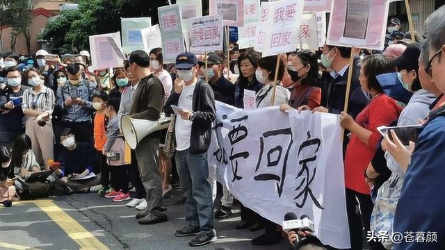 郑丽文又有大动作，当着日媒的面、直接说出心里话，绿营瞬间炸锅