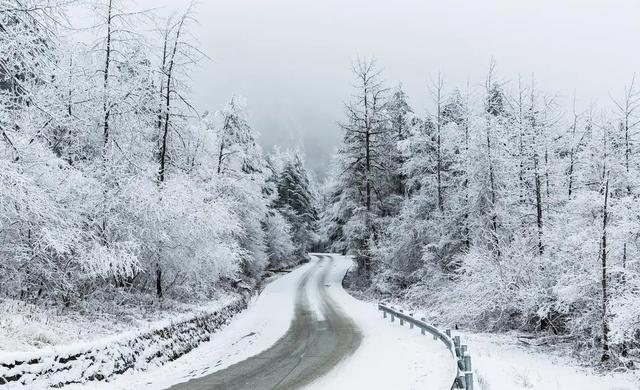 2026年春节冷不冷？老祖宗的答案，全藏在冬至这天！