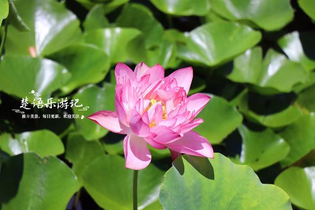 浙江宁波地铁7号线开通，沿线都有哪些好玩的风景，看这篇攻略
