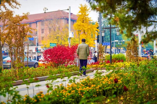 全龄友好,四季皆景!皇城根遗址公园焕新升级,超多美图→