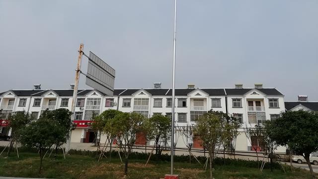 当阳关公传说：龙台有棵“关帝柏”