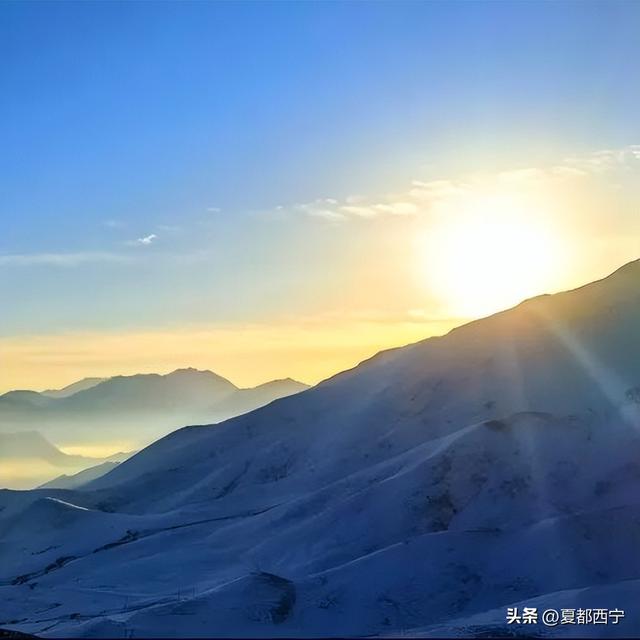 西宁的冬春，藏不住了！