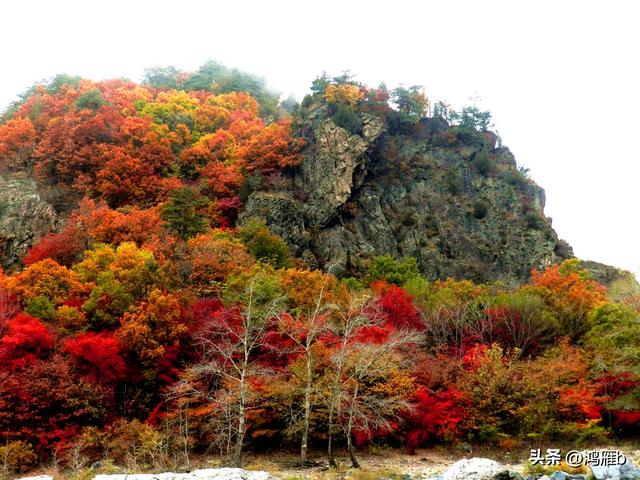 南太子河弯最多最惊险也是风光最美的一段——本溪“湖里”