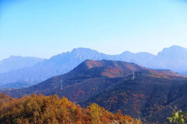 渑池坡头红叶拍摄记：一场迟来的秋日邂逅