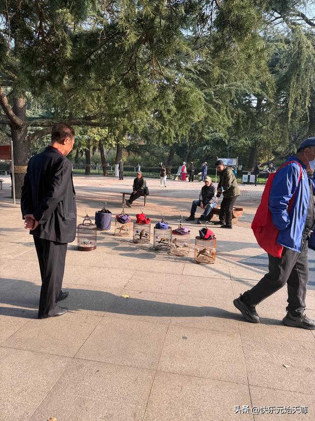 我一上午去了两个公园，