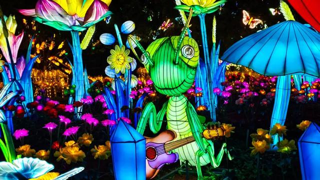 桂林:首届非遗千灯游园,光影艺术璀璨盛宴!