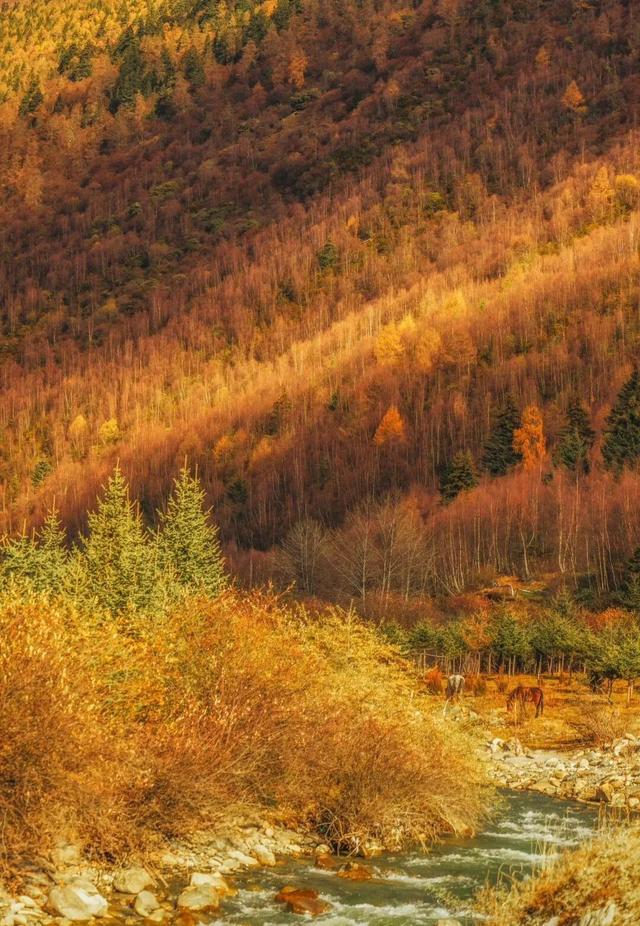秋天的四姑娘山，我要给你五颗星！